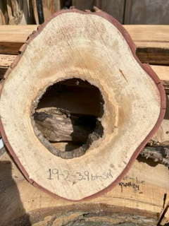 Spalted Maple
